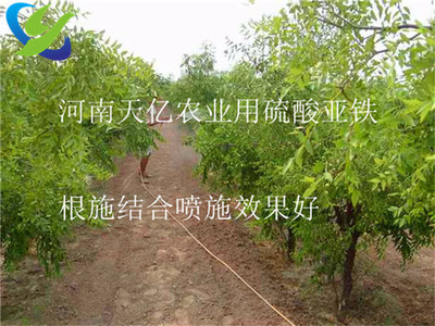 新余食品級(jí)硫酸亞鐵, 鷹潭制藥級(jí)硫酸亞鐵-硫酸亞鐵-硫酸亞鐵絮凝劑- 新余食品級(jí)硫酸亞鐵