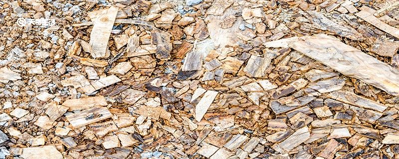 水是純凈物嗎 水是不是純凈物